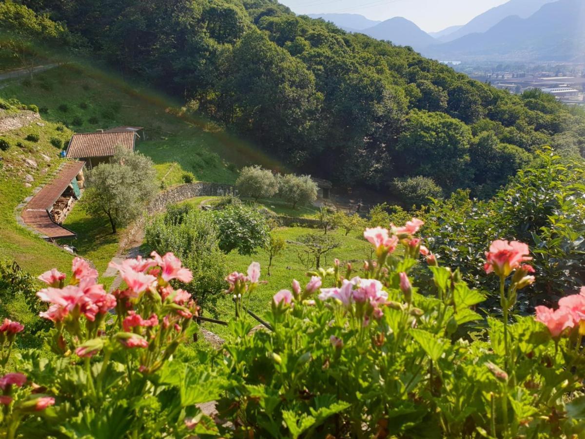 Villa D'Epoca Le Capele Gratacasolo Exterior foto